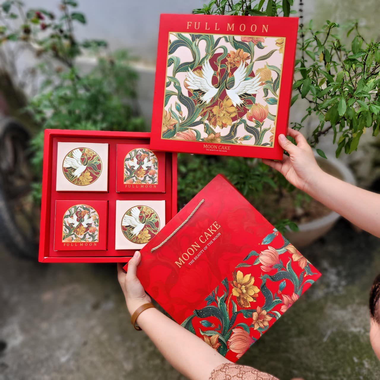 441871477_7946500908750698_28094716325673642_n