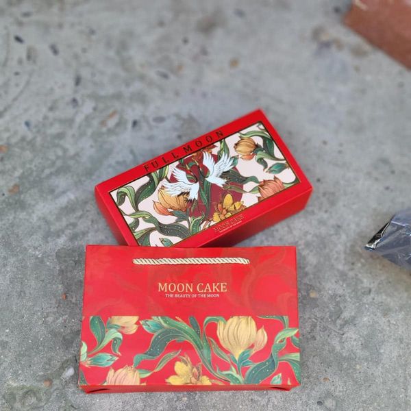 448635414_8053394904727964_7621810334474516194_n